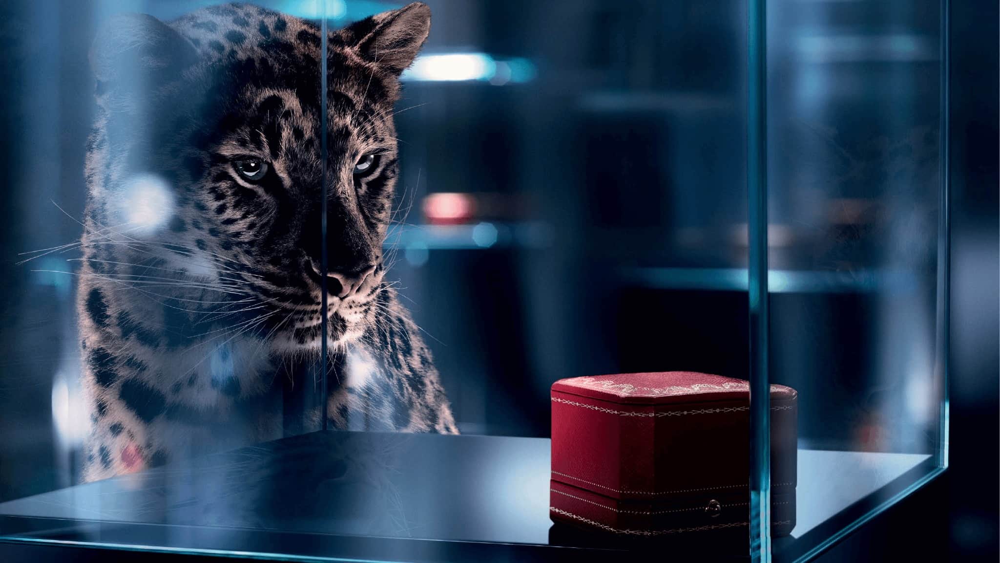 Cartier