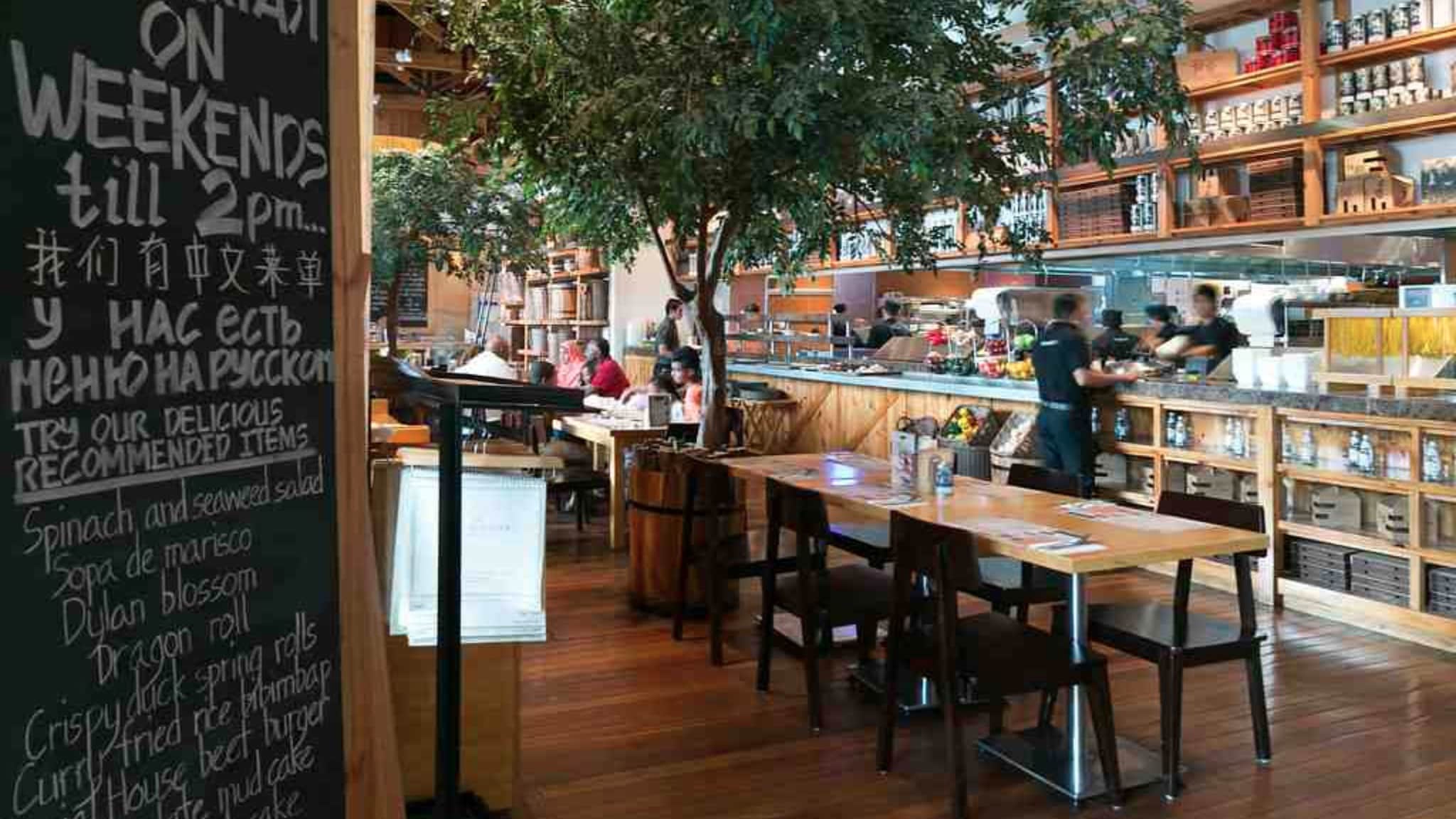 Social House