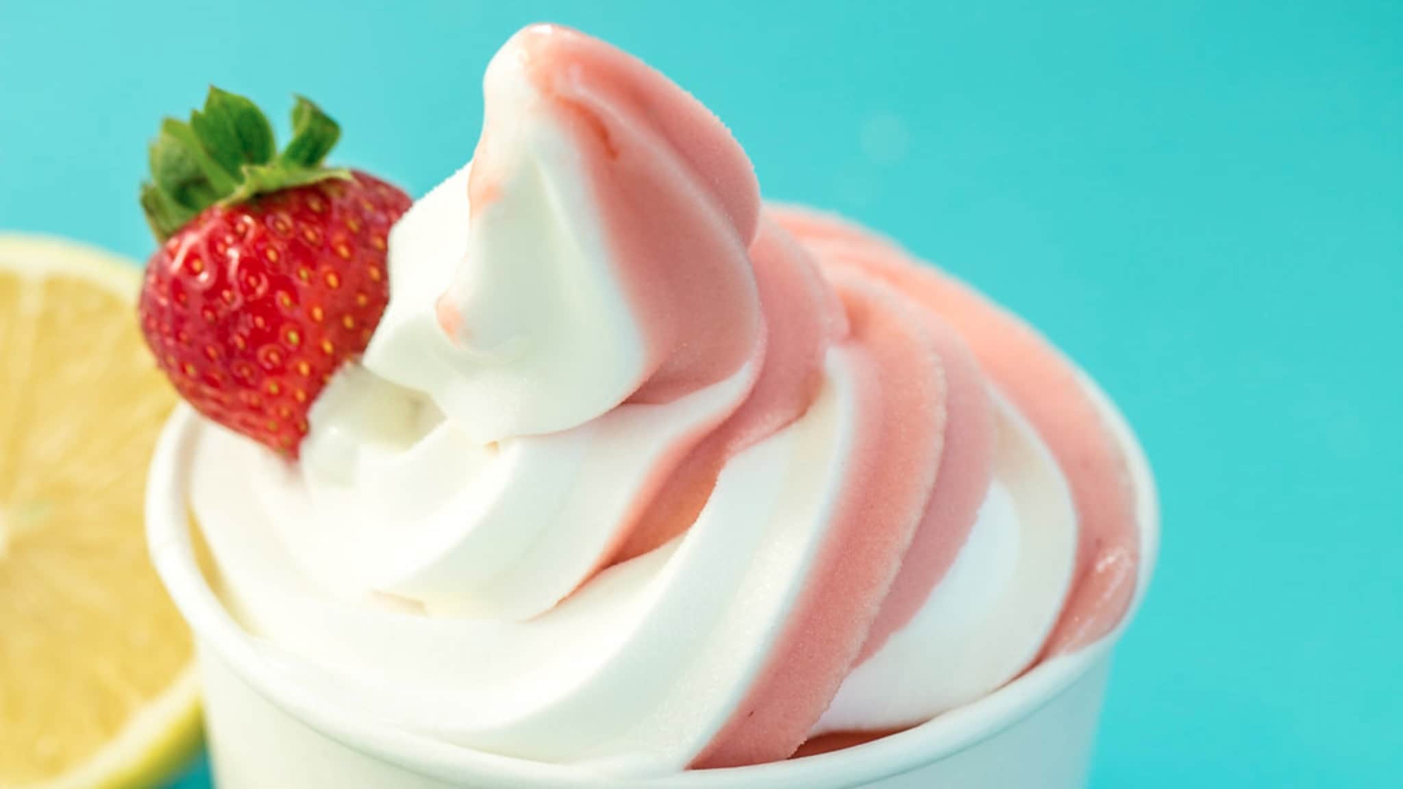 Yogurtland