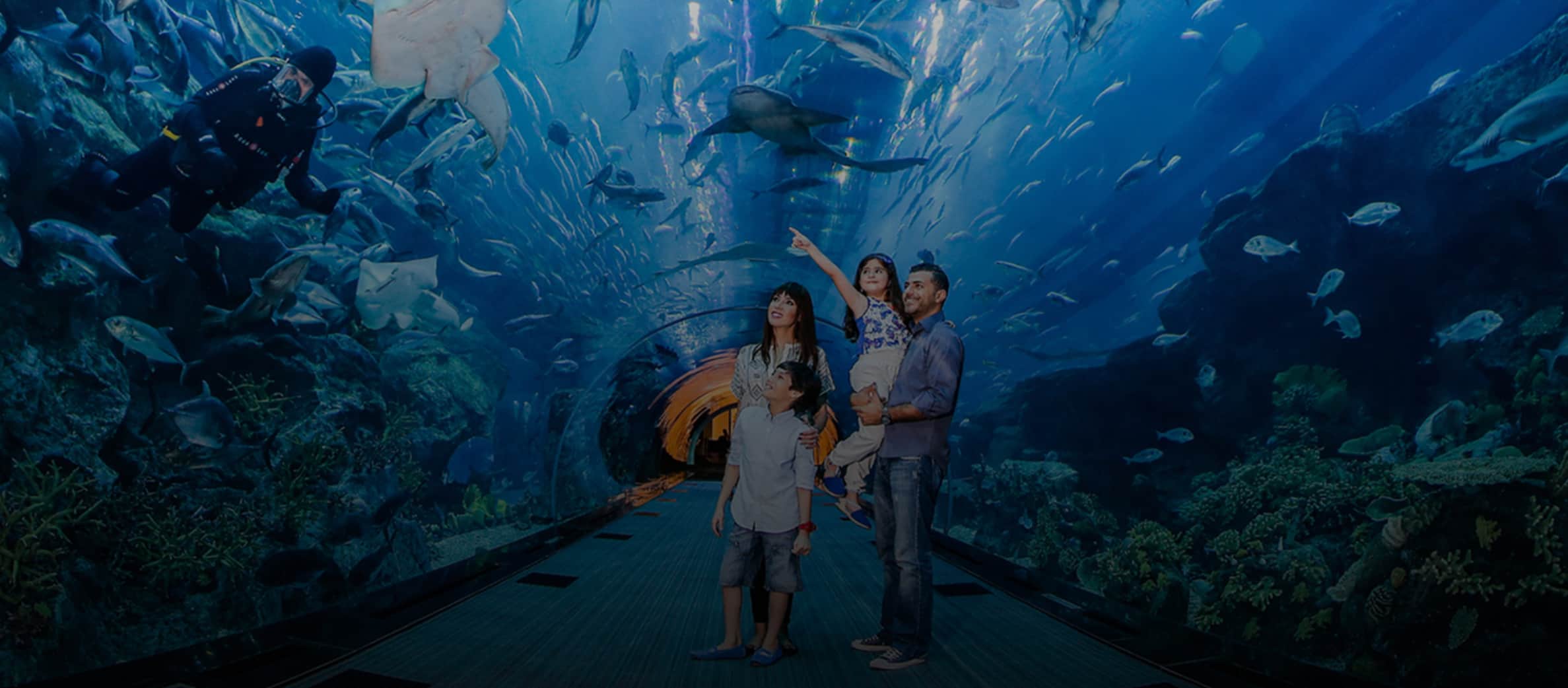 Dubai Aquarium & Underwater Zoo