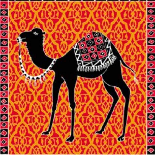 Camel Company