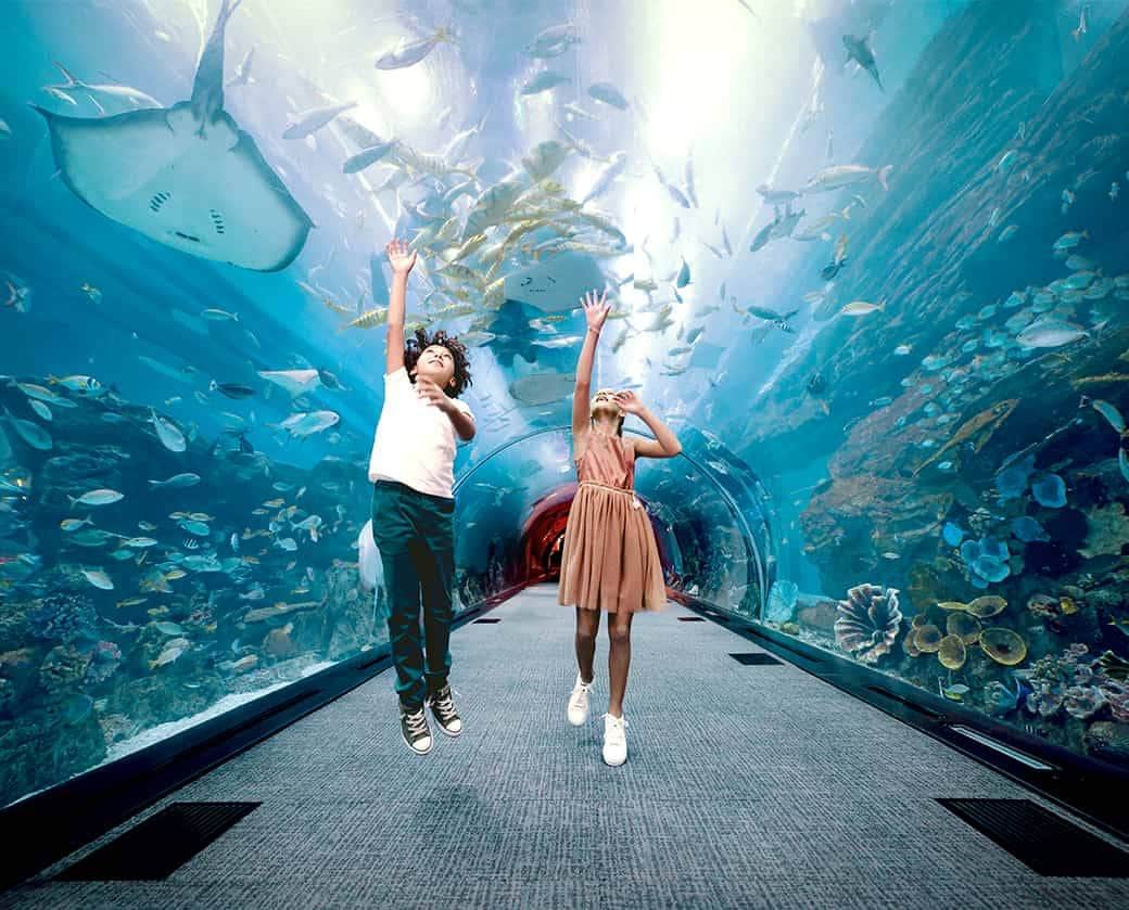 Dubai Aquarium & Underwater Zoo